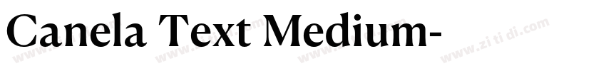 Canela Text Medium字体转换